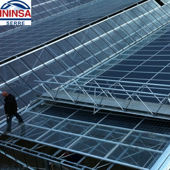 Ininsa Elementos de seguridad