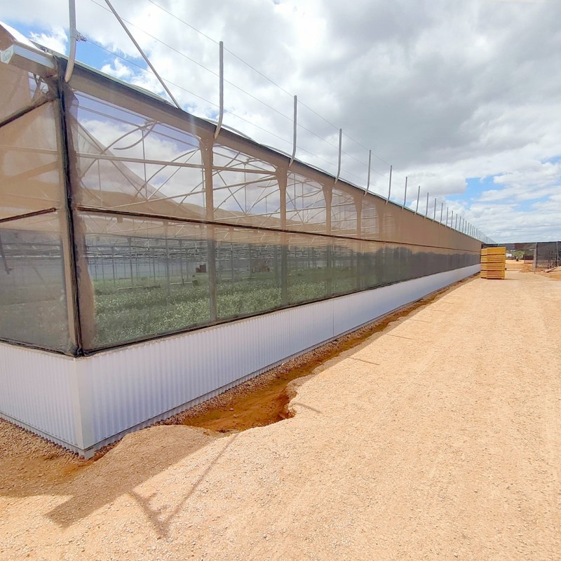 Ininsa Asia-Pacific / Curved P8 / Nursery