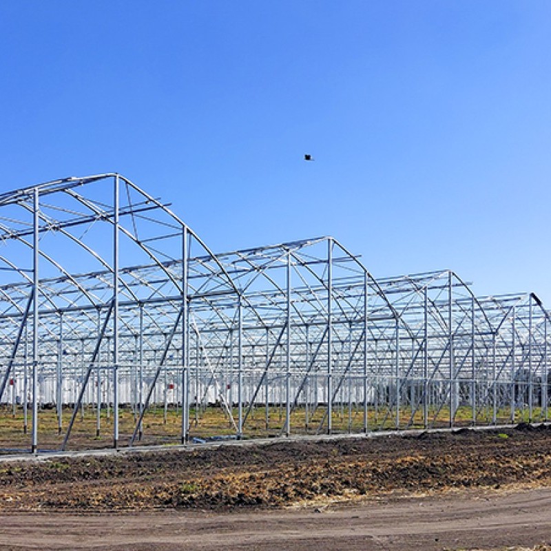 Ininsa México / G 12.8 / Hortícola