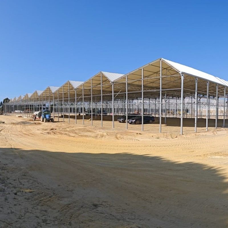 Ininsa Asymmetrical gable greenhouse