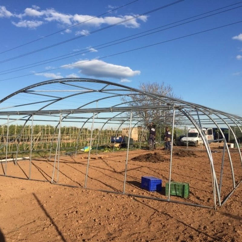 Ininsa Tunnel greenhouses