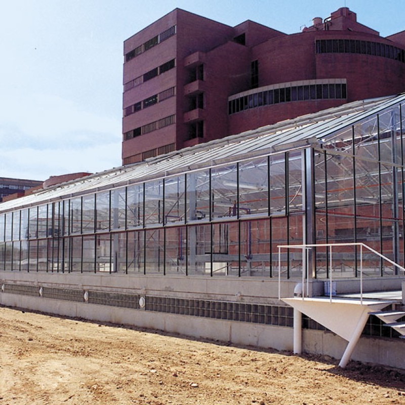 Ininsa PW greenhouse (gable roof – CTE)