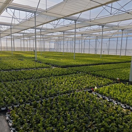 Líderes en diseño 1