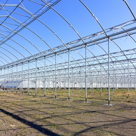 invernaderos agrícolas 5