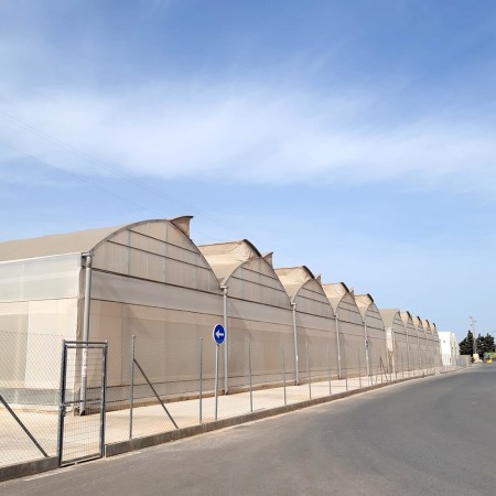 Ininsa Producción hortalizas Sur de España G.9,60