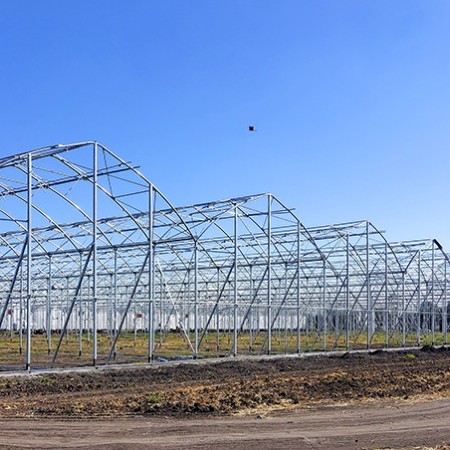 Imágen México / G 12.8 / Hortícola