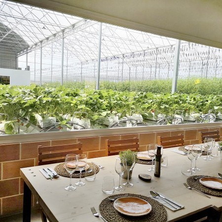 invernaderos en España 3