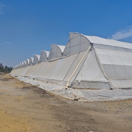 invernaderos a medida 6