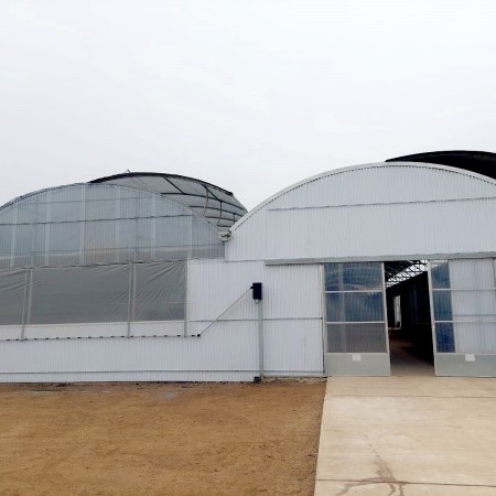 Ininsa Vivero Peru P8