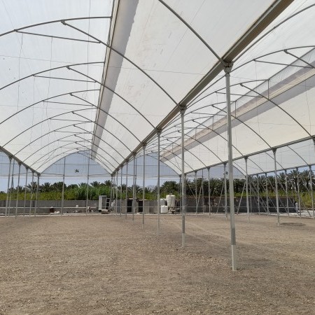 agricultural greenhouses 5