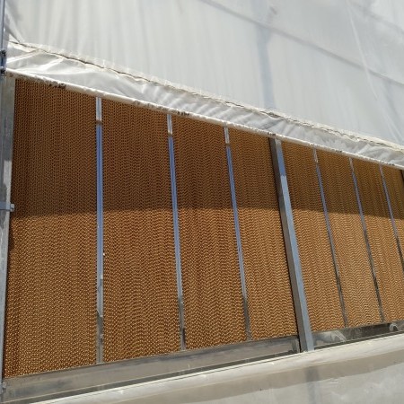 greenhouse construction 6