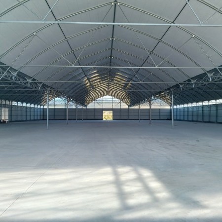  invernadero túnel 3