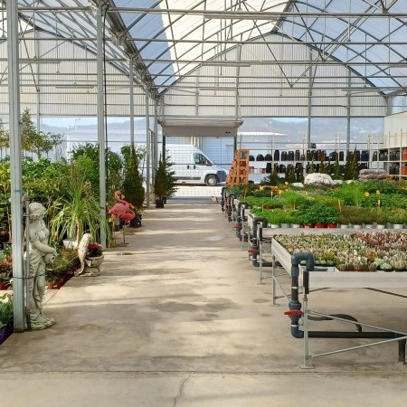 invernadero gótico 1