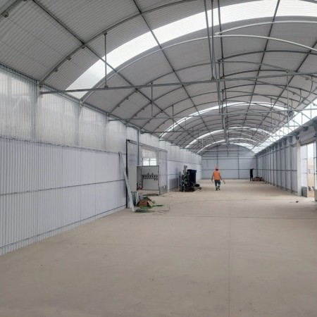 invernadero multitúnel 1