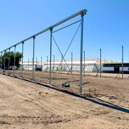  invernadero túnel 4