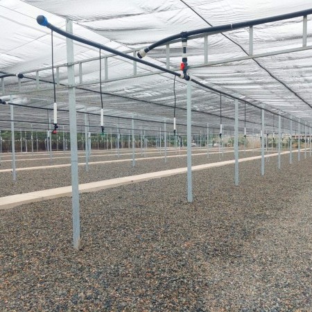 invernaderos industriales 3