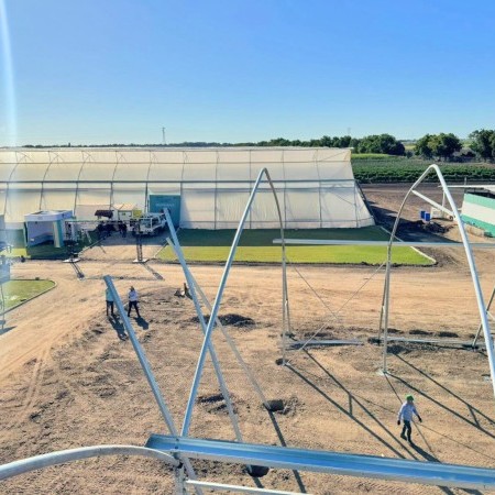 invernadero gótico 2