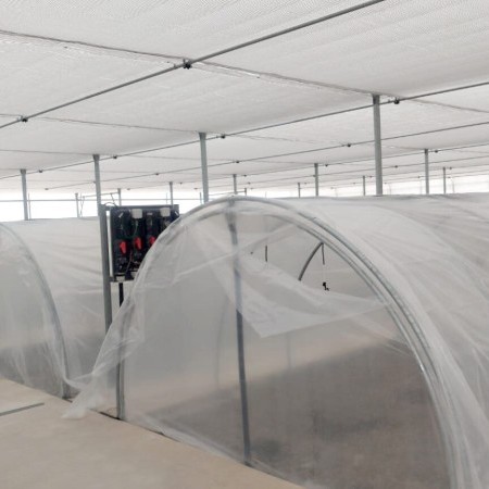 invernadero gótico 2