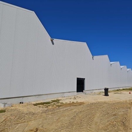  invernadero túnel 4