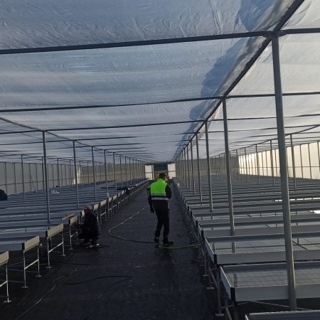 invernadero multitúnel 1