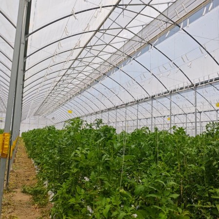 fabricación de invernaderos 5