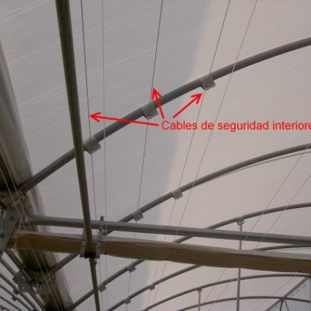  invernadero túnel 4