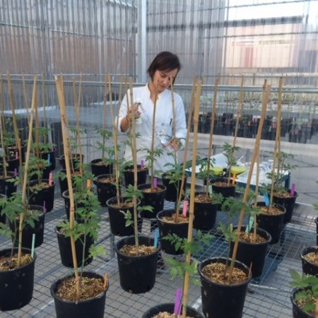 Imágen Investigación y proyectos técnicos