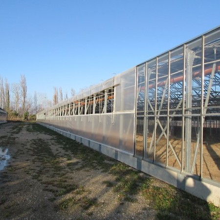 invernadero multitúnel 1