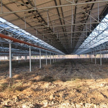 invernadero gótico 2