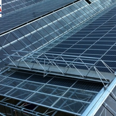 invernadero multitúnel 1