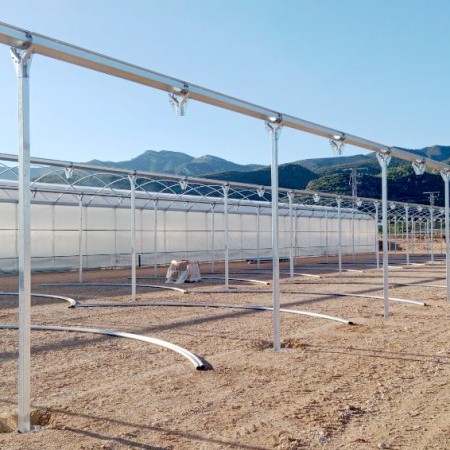 Ininsa Producción Ornamental en levante español