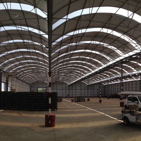 invernaderos industriales 3