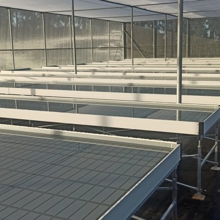 Imágen Fixed Growing Benches by ININSA
