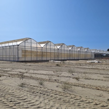 fabricante de invernaderos 1