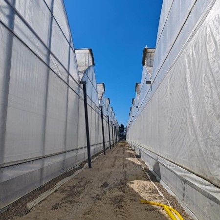 invernaderos agrícolas 5