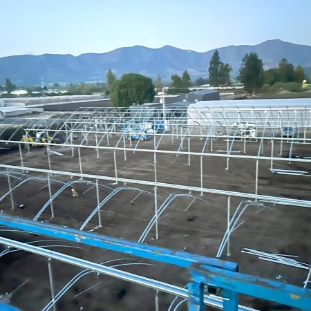 Ininsa Producción Semillas Chile G960