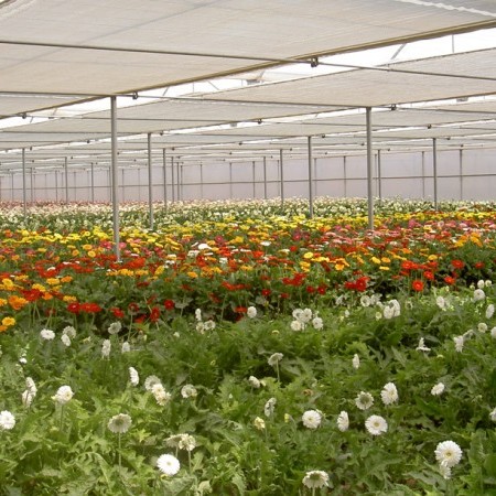 Ininsa Pantalla térmica – Sistema de cremallera