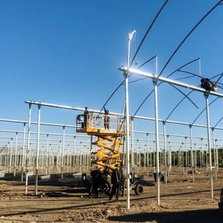 multi-tunnel greenhouse 1
