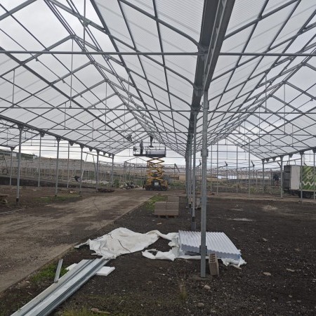 Ininsa Produción Ornamental Canarias