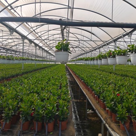 instalaciones agroindustriales 1