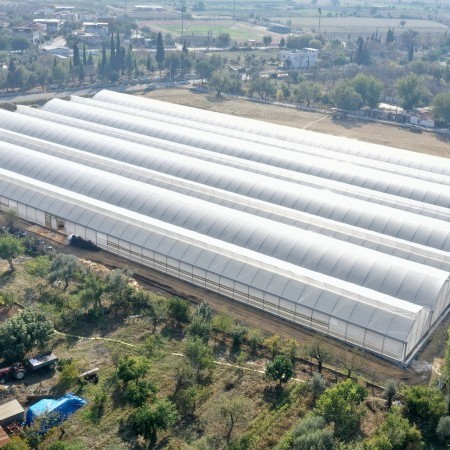 Ininsa Producción Fresas Turquia G.9,6