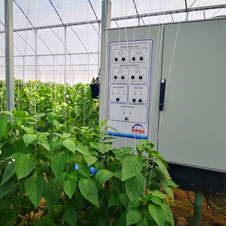 invernadero multitúnel 1