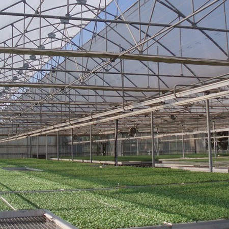 fabricación de invernaderos 2