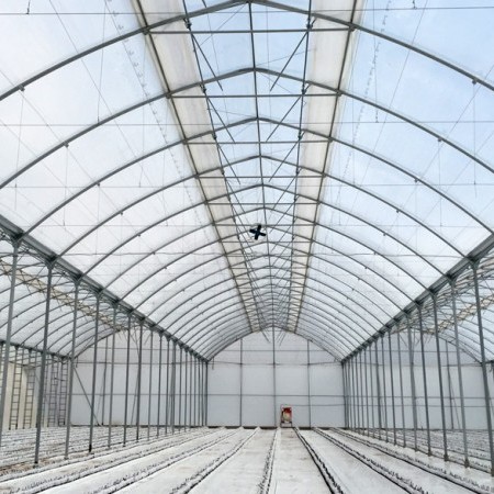 invernaderos industriales 4