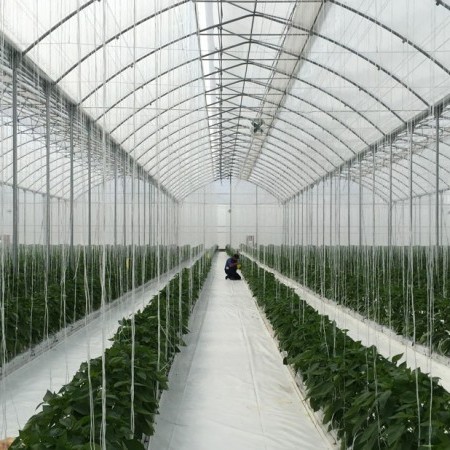 construcción de invernaderos 6