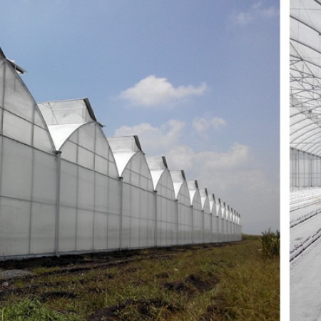 montaje de invernaderos 7