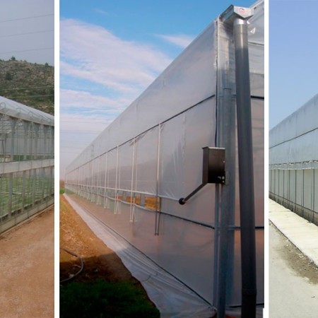 multi-tunnel greenhouse 1