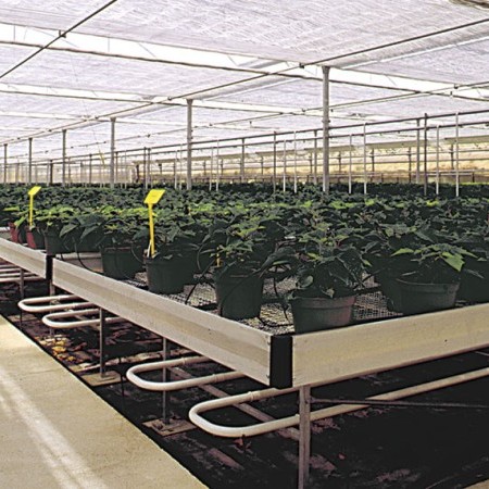 invernadero capilla 3