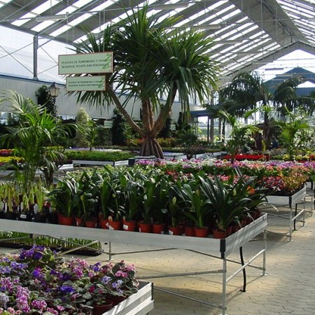  invernadero túnel 4