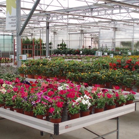 invernaderos agrícolas 5